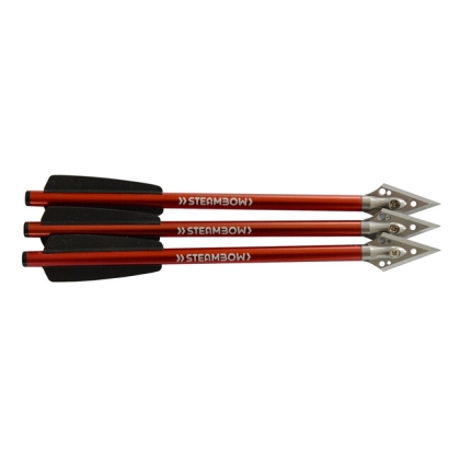 Sageti pistol arbaleta Steambow Stinger hunting