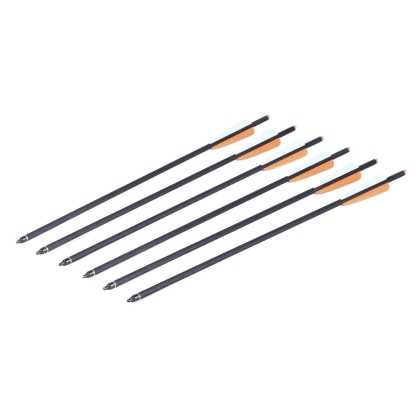 Set sageti carbon CenterPoint 20 inch
