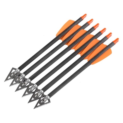 Set 6 sageti carbon X-BOW Cobra System Adder Hunting