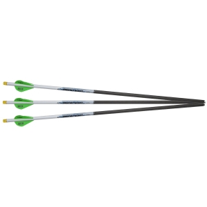 Sageti carbon Excalibur ProFlight Matrix iluminate