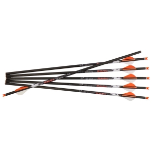 Set săgeți arbaletă carbon Ravin HD .001, 500 Grain, 6 Bucăți