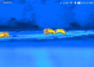 DNT Hound H635R, Monoclu Termic cu Telemetru și Calculator Balistic